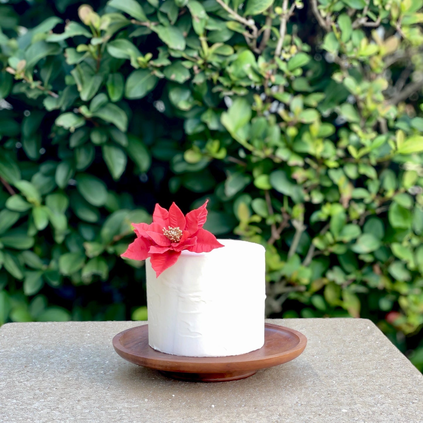 Red Poinsettia Sugar Flower with Gold