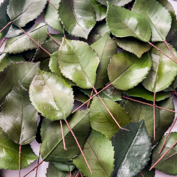 Leaves + Filler Flowers