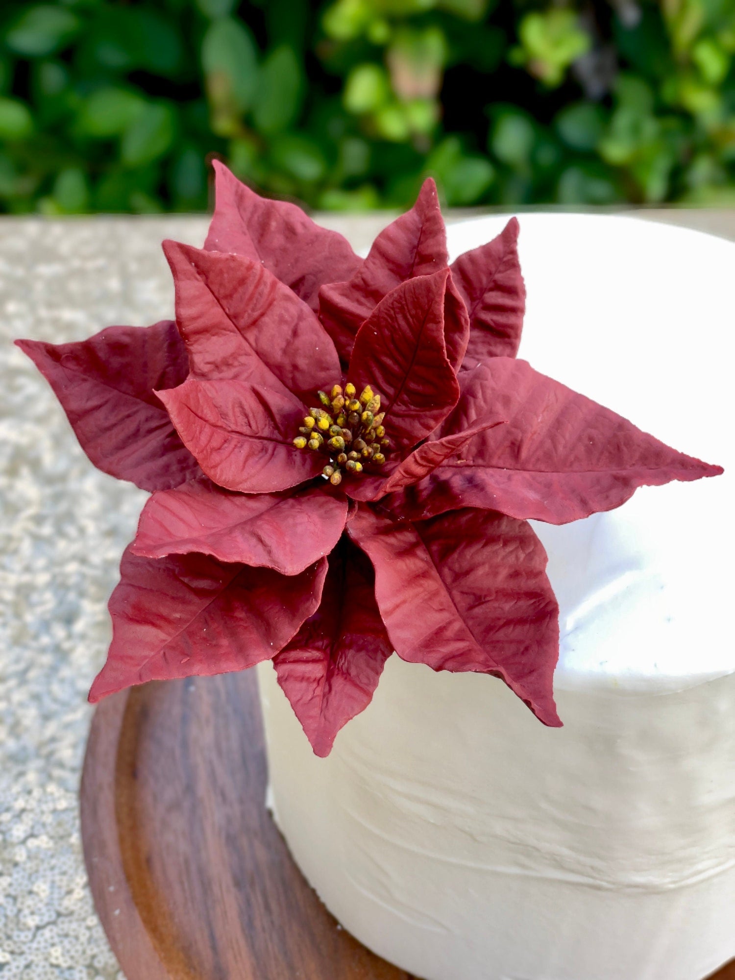 Burgundy poinsettia on a white one tier cake