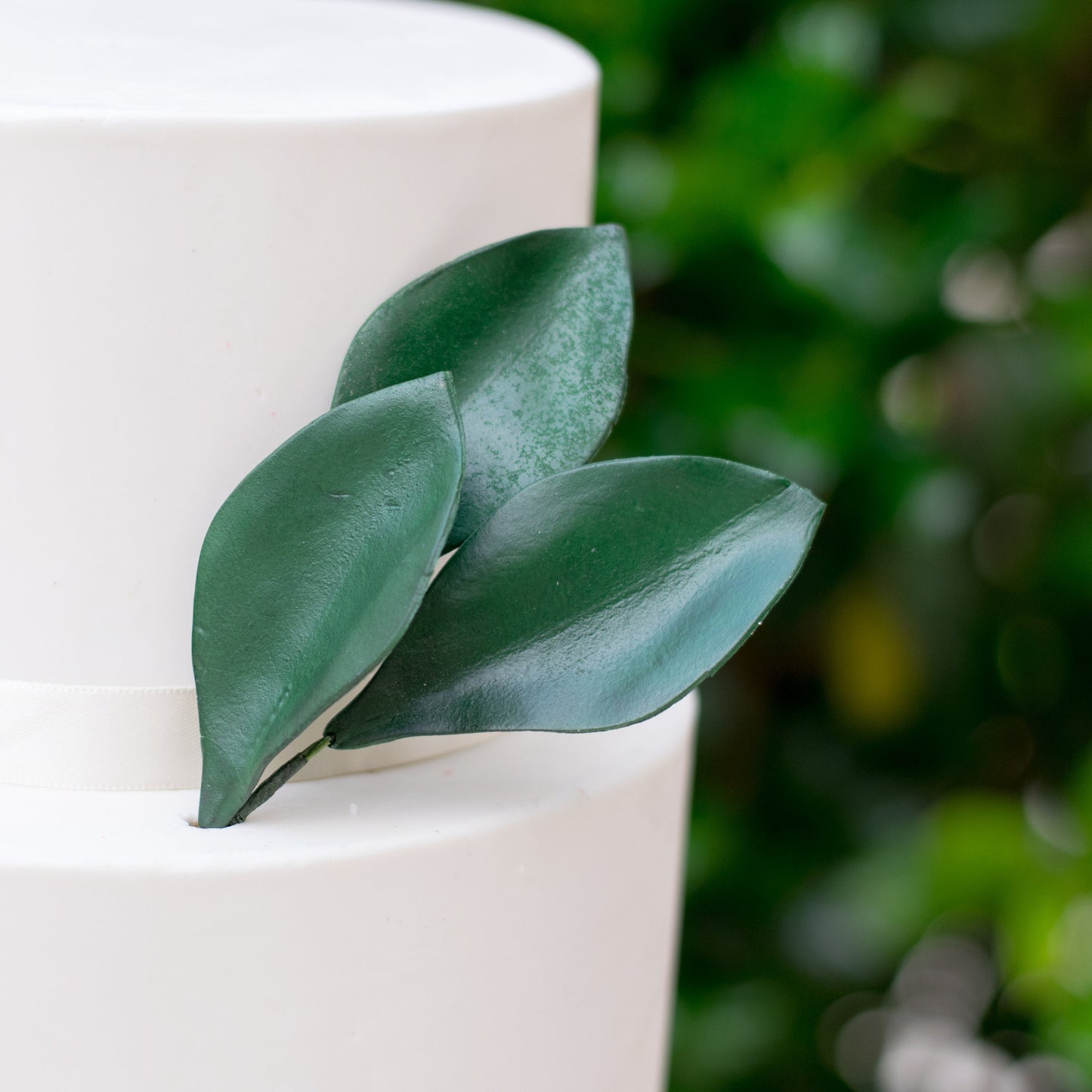 Magnolia Leaves - Set of 3 Gumpaste Leaves