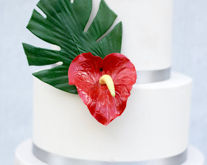 Red Anthurium Sugar Flower