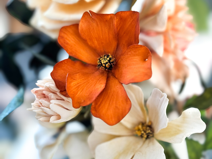 Burnt Orange Cosmos Sugar Flower