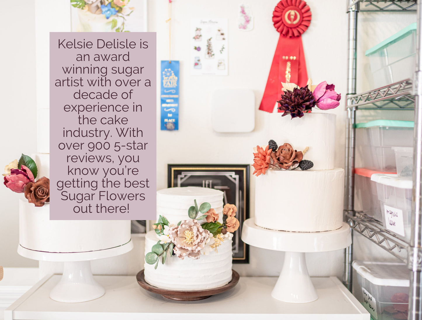 Burgundy Poinsettia Sugar Flower