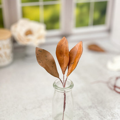 Gumpaste Dried Magnolia Leaves (Set of 3)