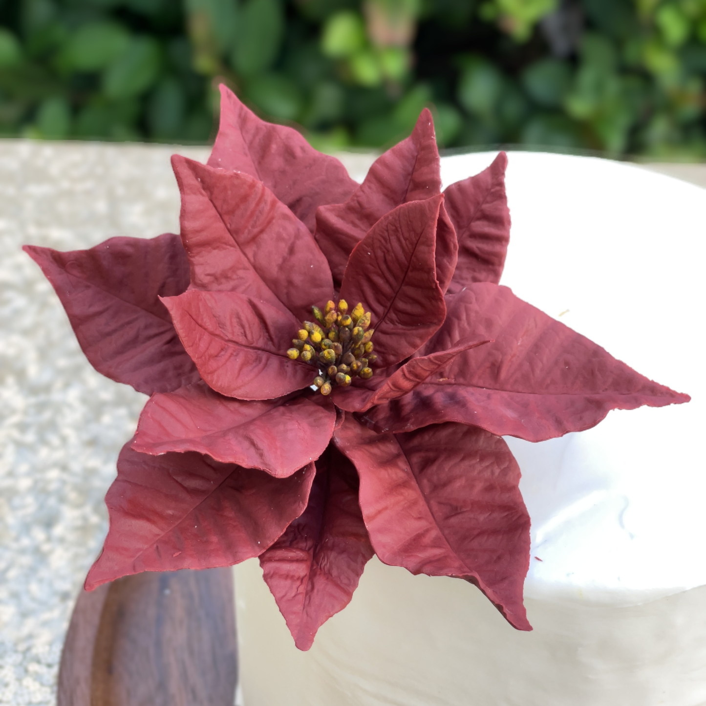 Burgundy Red poinsettia Gumpaste flower with a blurred green background