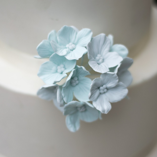 Light Blue Hydrangea Inflorescence Sugar Flower