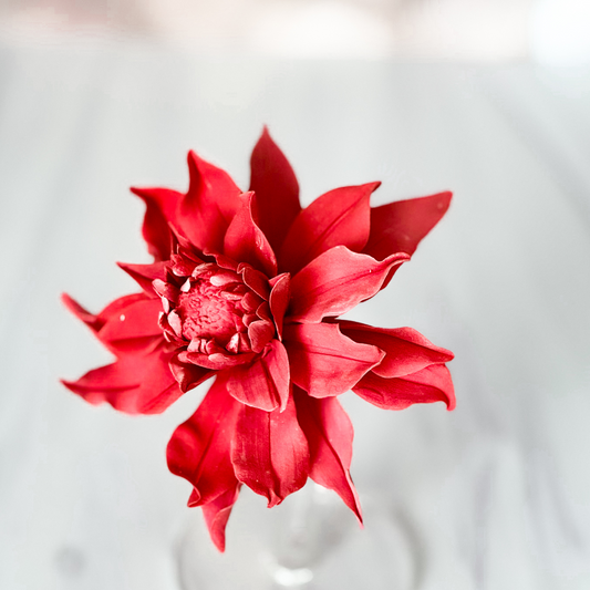Large Red Dahlia Sugar Flower