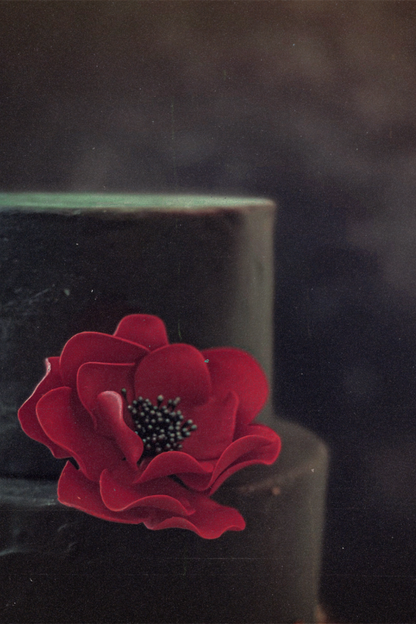 Black fondant cake with a red sugar flower decoration on a dark background