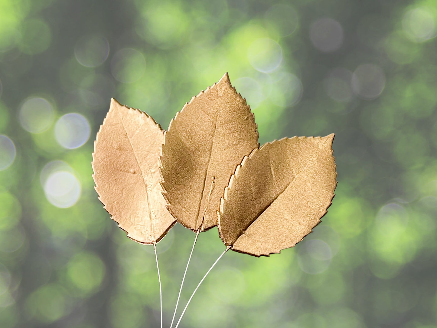 Large Gold Gumpaste Rose Leaves (set of 3)