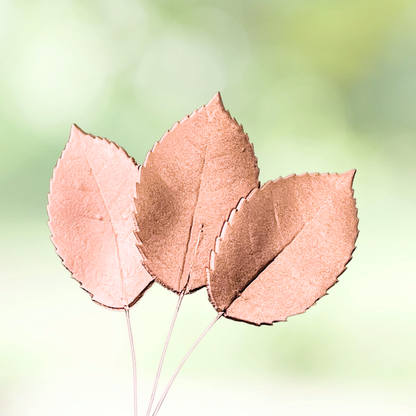 Large Rose Gold Gumpaste Rose Leaves (set of 3)