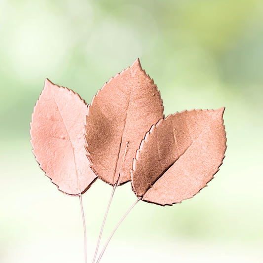 Large Rose Gold Gumpaste Rose Leaves (set of 3)